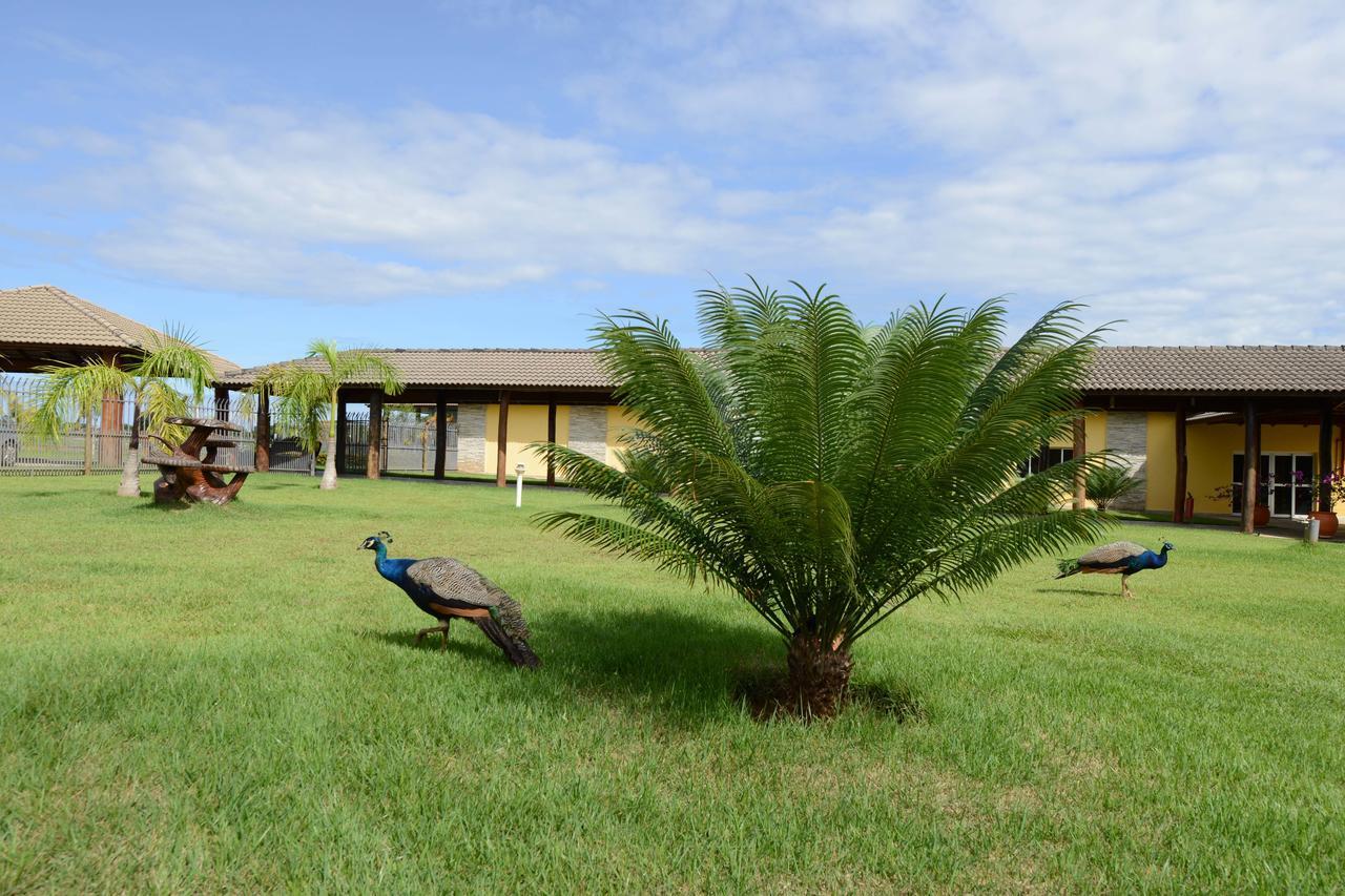 Poconé Pousada Haras Santa Rita מראה חיצוני תמונה